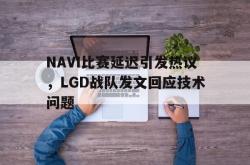 乐鱼官网-NAVI比赛延迟引发热议，LGD战队发文回应技术问题